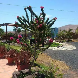  Country house Soleario Spain